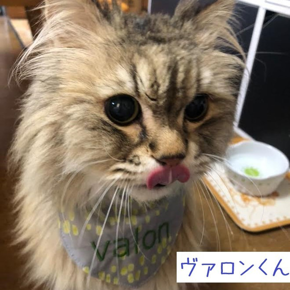 長毛猫さんのごはん用エプロン！　ピンク 8枚目の画像