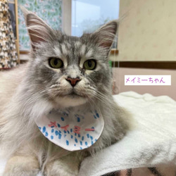 長毛猫さんのごはん用エプロン！　グレー 10枚目の画像