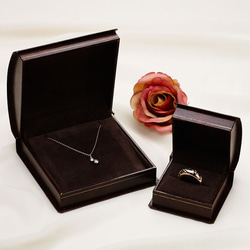 Worldwide Traveler（ワールドワイドトラベラー）K18WG×ダイヤモンド　飛行機ネックレス 7枚目の画像