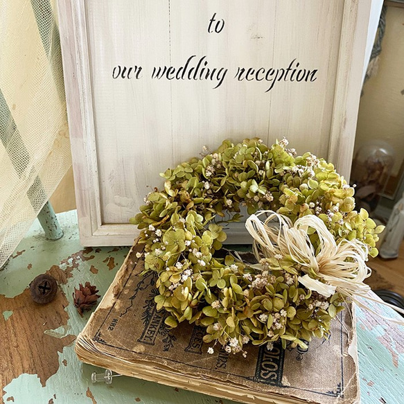 アナベル リース ドライフラワー ハンドメイド 約22cm フラワーリース アナベルのドライフラワーリース | ドライフラワースワッグと布