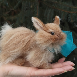 羊毛フェルト うさぎ/  赤毛 イリトルバニーのミニチュア 1枚目の画像