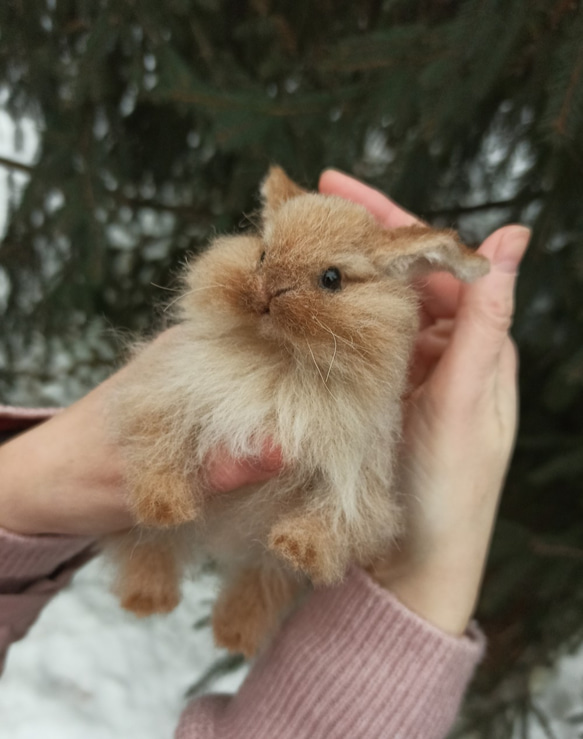 羊毛フェルト うさぎ/  赤毛 イリトルバニーのミニチュア 3枚目の画像