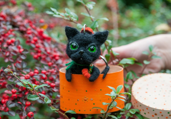 黒猫はカボチャでかぎ針編みを感じました:-) 4枚目の画像