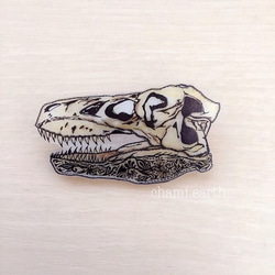 ✴︎古代生物シリーズ✴︎　ティラノザウルス 頭骨化石　 earthブローチ 1枚目の画像
