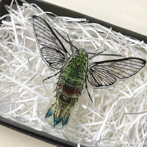 オーダー用サンプル】昆虫シリーズ①