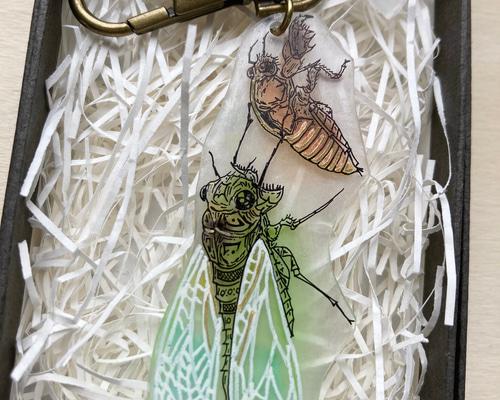 ✴︎昆虫シリーズ✴︎ 蝉の羽化キーホルダー その他アクセサリー