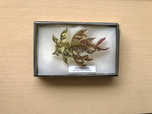 ✴︎海の生き物シリーズ✴︎ リーフィーシードラゴン earthブローチ 3枚目の画像