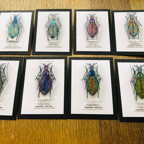 ✴︎昆虫標本ピンバッジ✴︎ アイヌキンオサムシ その他アクセサリー