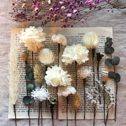 ヘッドパーツ natural white 20本 フラワーアクセサリー ドライ