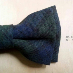 Mr. Bart-Classic Checkered Bow Tie-Bow tie-Classic-Blue-Green 2枚目の画像