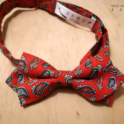 巴特先生-經典變形蟲領結-Bow ties-classic-紅D 第4張的照片