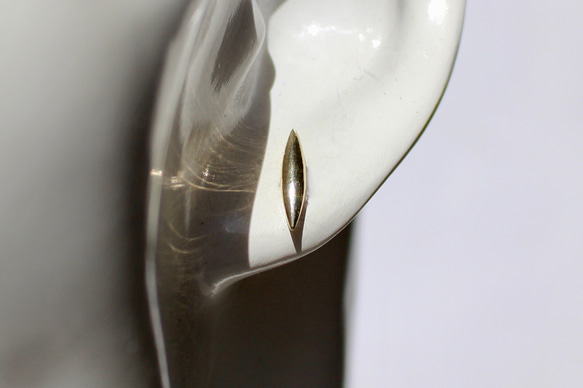 Sharp ellipse pierce / K10YG + K18YG 4枚目の画像
