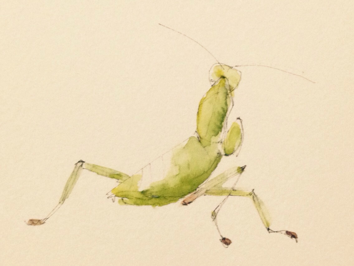 染色絵画　カマキリ 染色絵画　カマキリ