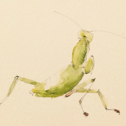 染色絵画　カマキリ ユウレイカマキリ Ⅰ 」 2025年制作 105×68mm 雲肌麻紙 墨 水干 金箔