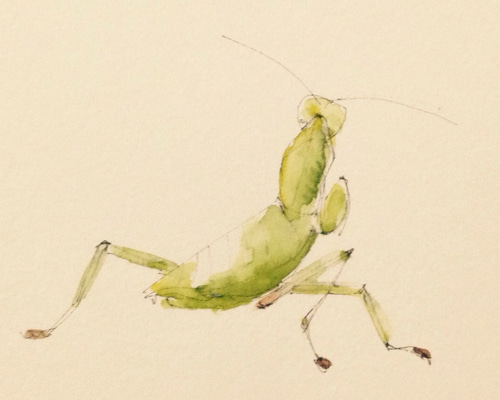 染色絵画　カマキリ 1_a6cabdbf9185415cc88ce75015a8