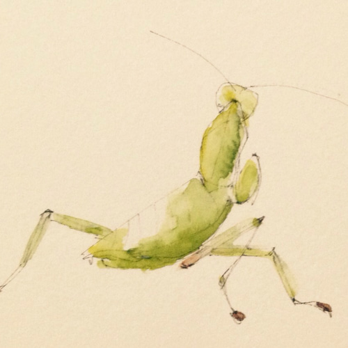 染色絵画　カマキリ 染色絵画 カマキリ 染色絵画 カマキリ カマキリ11.JPG