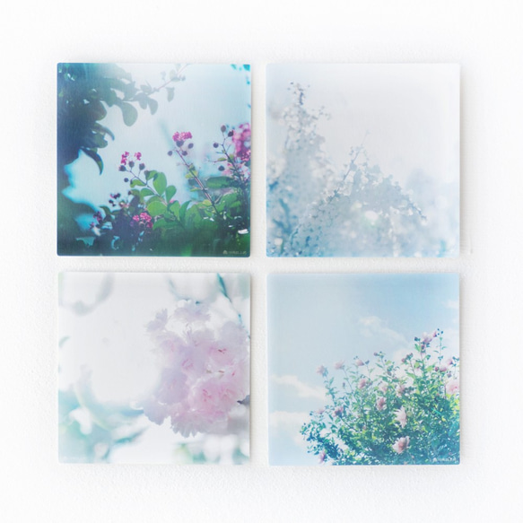 野花のしかくいポストカード - 選べる4枚セット（八重桜・サルスベリ・ムクゲ・ユキヤナギ・クマノザクラ）写真・正方形 1枚目の画像
