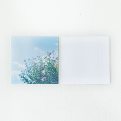 野花のしかくいポストカード - 選べる4枚セット（八重桜・サルスベリ・ムクゲ・ユキヤナギ・クマノザクラ）写真・正方形 16枚目の画像