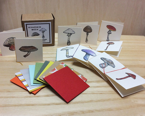 きのこ図鑑カード付き ミニグリーティングカード10枚セット【hako-iri