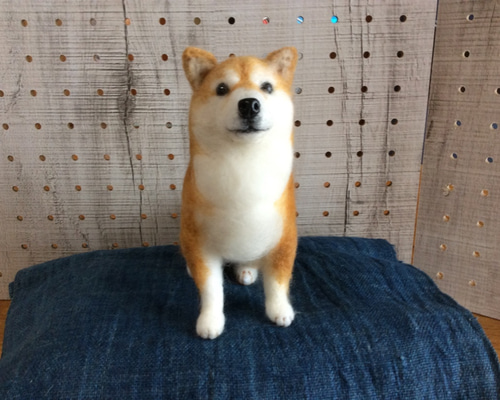 0_f9c339faa4def16731cf700b6418