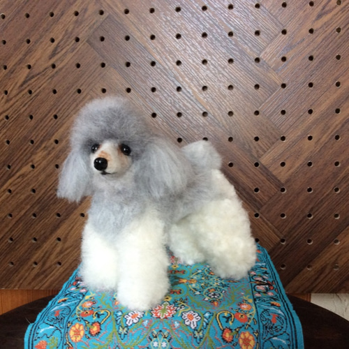 送料込み。トイプードルシルバーちゃん。伏せポーズ♡