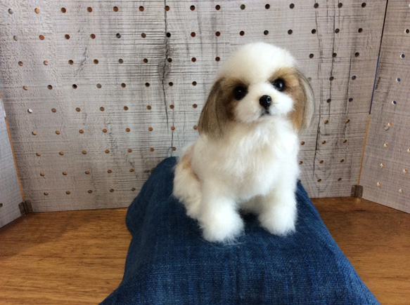 お見本です 振袖 トイプードル ヨーキー シーズー マルチーズ お見本です 振袖 トイプードル ヨーキー シーズー マルチーズ