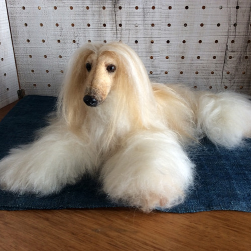 アフガンハウンド 羊毛フェルト コーギー大好きママ 通販 12869818