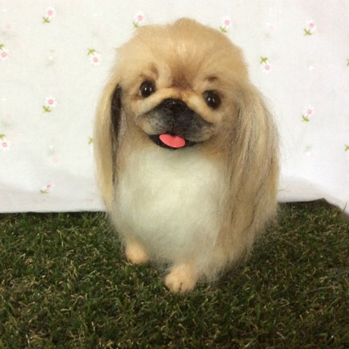 ペキニーズ（フォーン） 羊毛フェルト コーギー大好きママ 通販