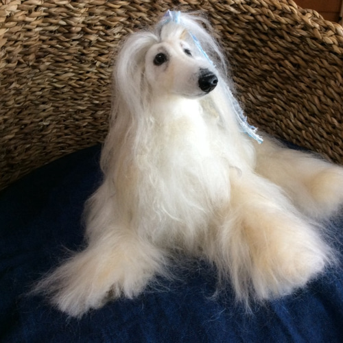 オーダー品アフガンハウンド 羊毛フェルト コーギー大好きママ 通販