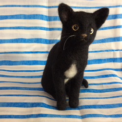 黒猫 3枚目の画像