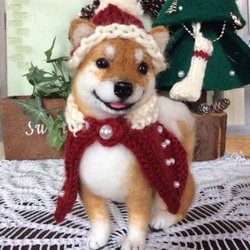 柴犬（クリスマスバージョン） 1枚目の画像