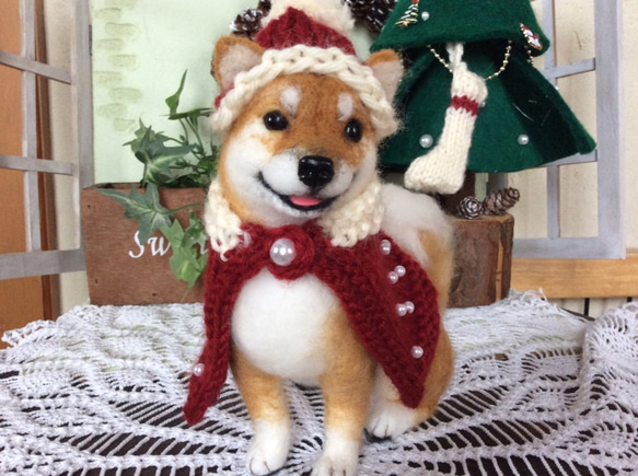 柴犬（クリスマスバージョン） 1枚目の画像