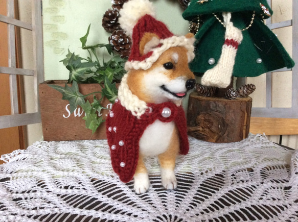 柴犬（クリスマスバージョン） 4枚目の画像