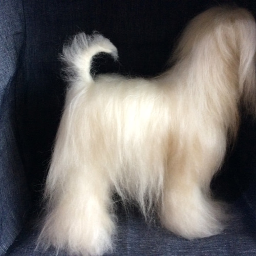 【Belcanto】フェルト羊毛のアフガンハウンド アフガンハウンド ポーズ自由 全身可動 サラふわ艶毛 羊毛フェルト