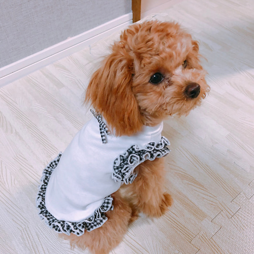 犬服 ギンガムチェックタンクトップ ペット服・アクセサリー