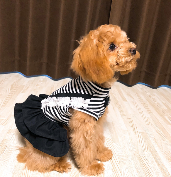 犬服 ボーダー＊2段フリル ワンピース 3枚目の画像