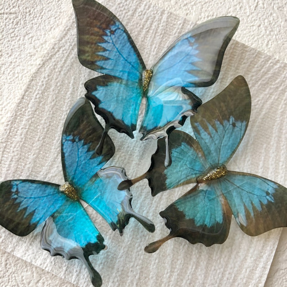 ３Dリッチシール　アゲハ蝶（2） 2枚目の画像
