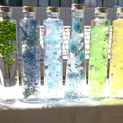 植物標本 液体標本 スノードーム ハーバリウム スモークツリー