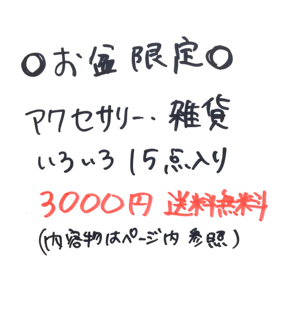 限定1)アクセサリーと雑貨 計15点入り 夏の福袋 1枚目の画像