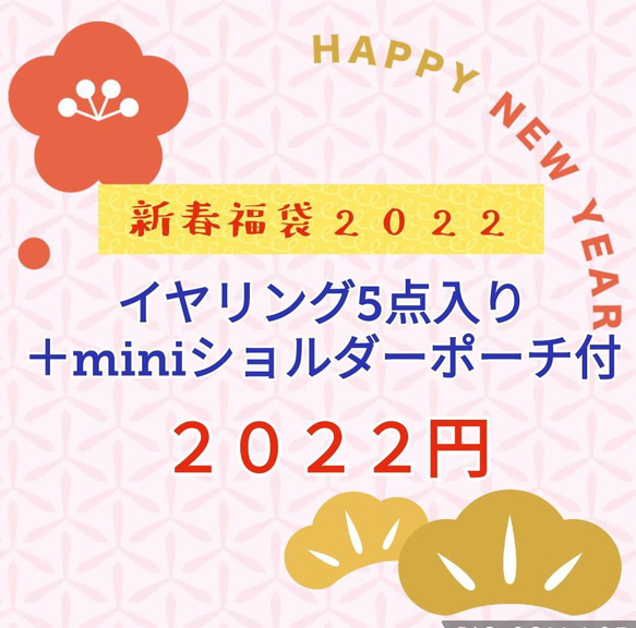 先行特典アリ★イヤリング(ノンホール樹脂)おまかせ5個入り福袋　Creema限定 1枚目の画像