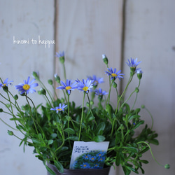 0_63187d5ec4fe2262bcb2780935c5