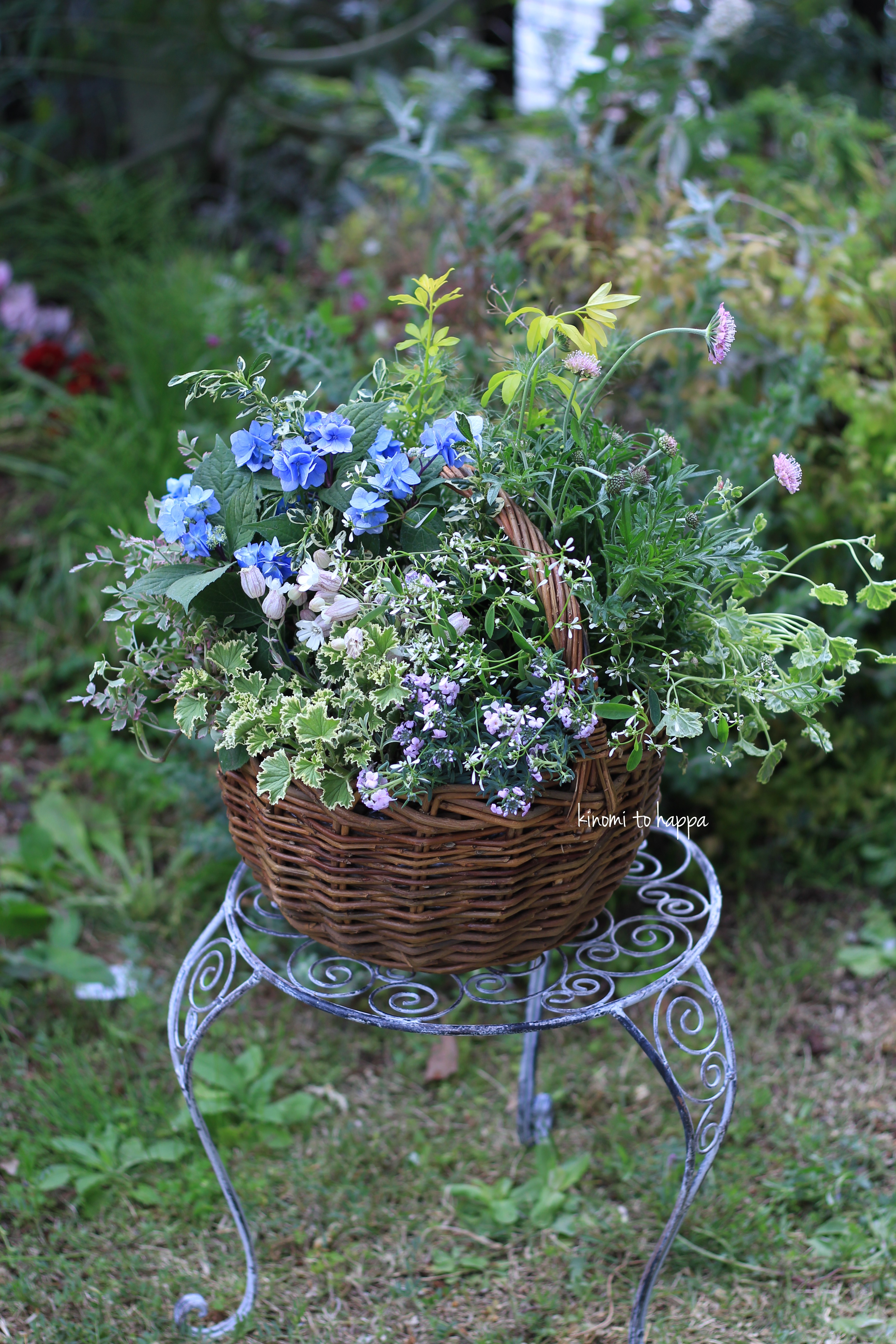 【ポイント10倍】 ブルー系アンティークな寄せ植えギャザリング※鉢に訳アリ 鉢花