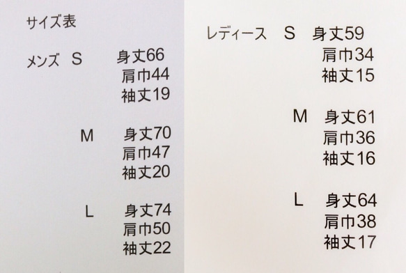 オリジナルTシャツ 実在しないお城 「受注生産」 3枚目の画像