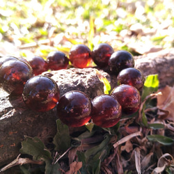 ＊Sunbow Forest＊ 緬 甸 天 然 琥 珀 手 珠 [15mm] 第1張的照片