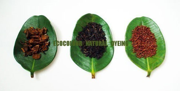 ECOCOLOUR 天然染織 植物染 草木染  紅茶染 有機棉漸層圓領背心 第5張的照片