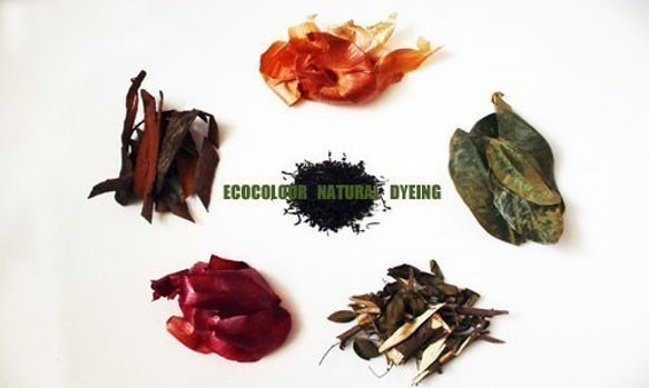 ECOCOLOUR天然染色、植物染色、植物染色、紅茶染色、オーガニックコットン、グラデーションラウンドネックベスト 6枚目の画像