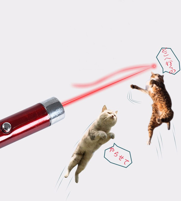 猫用レーザーポインター 1枚目の画像