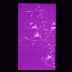 スマホ用「灯りポップ」三枚組　鯉、朝顔、雪 3枚目の画像