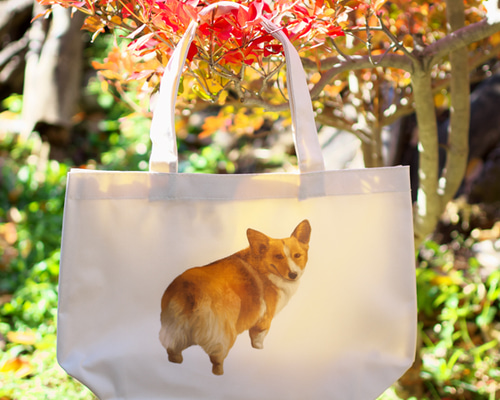 コーギー　トートバッグ　キャンバス　レザー キュンです コーギー 】 ミニキャンバス トートバッグ 犬 ペット