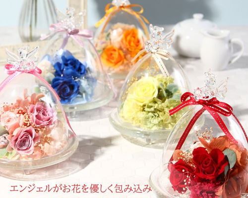 ヨドバシ.com - プリザーブドフラワーIPFA ガラスドーム